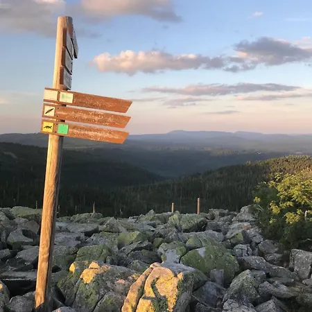 Zur Steinklamm Im Bayrischen Wald *