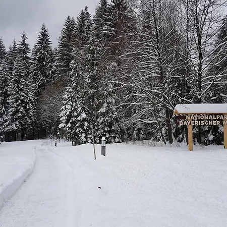Lejlighed Zur Steinklamm Im Bayrischen Wald Spiegelau